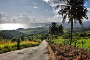 Read more about the article The best road trips in Barbados reveal another side to the Caribbean