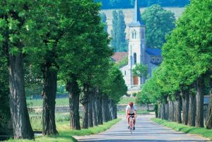 Read more about the article France’s 8 best cycling routes, from Alpine climbs to leisurely wine trails