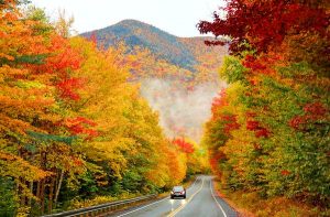 Read more about the article 10 best fall road trips to US national parks
