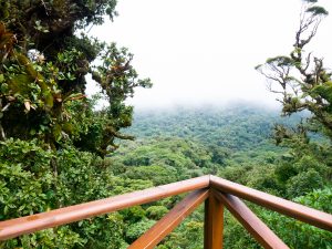 Read more about the article 15 Best Things To Do in Costa Rica