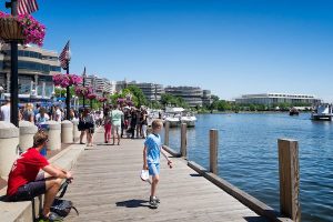 Read more about the article Capital picks: best 12 things to do in Washington, DC