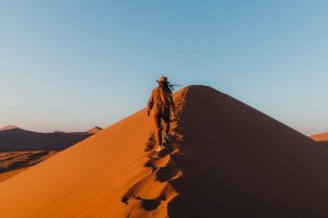 Read more about the article The best times to visit Namibia for hiking, wildlife and more