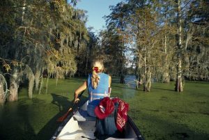Read more about the article The 9 best day trips from New Orleans: swamps, small towns and cajun food