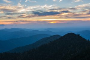 Read more about the article Top Things To Do and Places to Explore While Traveling to the Great Smoky Mountains