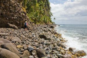 Read more about the article The 8 best things to see and do in Dominica