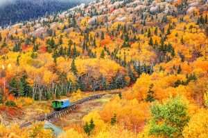 Read more about the article 9 most beautiful destinations to see fall colors – Lonely Planet