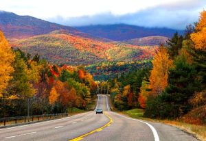 Read more about the article The best of New England: fall road trip 2022