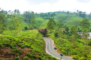 Read more about the article  The top 6 road trips in Sri Lanka