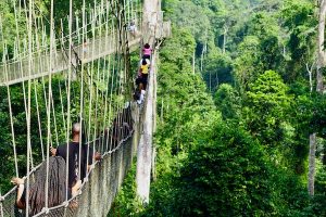Read more about the article Ghana’s best hikes – Lonely Planet