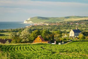 Read more about the article A reason to travel to Hauts-de-France in 2023: Europe’s new region of gastronomy
