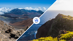 Read more about the article Oʻahu or Maui: which is better?