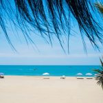 Visit Maldives digitalises procurement process through new Vendor platform
