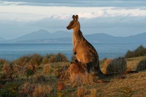 Read more about the article Hidden Australia – best places to get off the beaten path Down Under