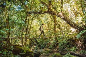 Read more about the article 9 of the best hiking trails in Honduras