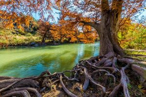 Read more about the article Best parks and reserves in Texas