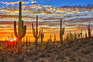 Read more about the article Arizona’s 5 best national parks and monuments to explore