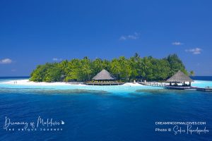 Read more about the article 3 of The Best Atolls for Snorkeling in Maldives