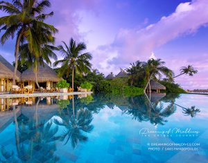 Read more about the article 5 Reasons Why Milaidhoo Island Maldives is a Dream Resort