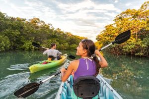 Read more about the article 12 things to know before going to Everglades National Park