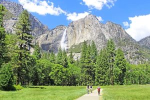 Read more about the article The best time to visit Yosemite National Park