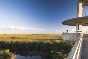 Read more about the article 6 top things to do with kids at Everglades National Park