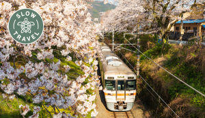 Read more about the article Taking the slow train from Nagoya to Toyama