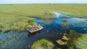 Read more about the article 8 of the best things to do in Everglades National Park: don’t forget your bug spray