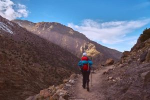 Read more about the article The 5 best treks in Morocco for wildlife, Roman ruins and mountain summits