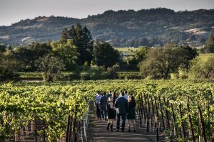 Read more about the article 7 USA winemaking regions for a weekend getaway