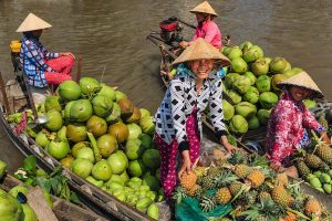 Read more about the article 9 delicious days in Vietnam with Elsewhere