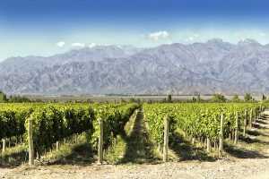 Read more about the article 10 of the world’s most underrated wine regions