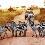 Picture yourself in Tanzania with Elsewhere by Lonely Planet