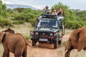 Read more about the article The best ways to get around Kenya