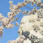 ELE|NA marks Global Wellness Day 2026 in partnership with the Cancer Societ…