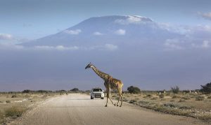 Read more about the article 7 of the best road trips in Kenya: top tips for a memorable journey