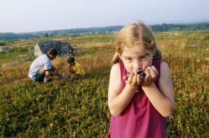 Read more about the article What to know when traveling to Maine with kids