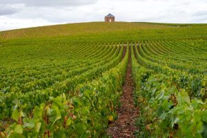 Read more about the article You’ve probably never been to Champagne’s Aÿ. Here’s why you should