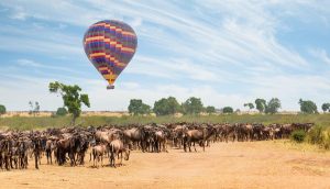 Read more about the article 10 of the best things to do in Kenya: wildlife, local culture and adventure