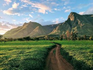 Read more about the article Best places to visit in Malawi
