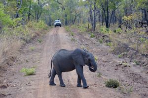 Read more about the article 5 of the best road trips in Malawi: explore in your own time