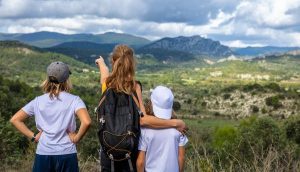 Read more about the article A first time guide to Cévennes National Park