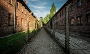 Read more about the article Auschwitz Tours: A Journey to Remember