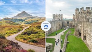 Read more about the article Scotland vs Wales: which to choose?