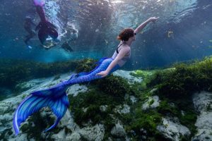 Read more about the article Get into: mermaiding in Florida… how to swim with the fishes and live your own Little Mermaid dream