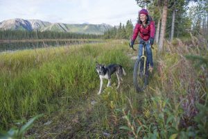 Read more about the article How to get around in Alaska