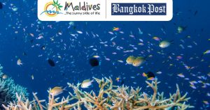 Read more about the article MMPRC showcases unique sights from the Maldives in Thailand’s Bangkok Pos…