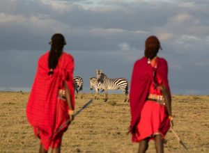 Read more about the article A wildlife tour with a Maasai guide