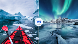 Read more about the article Antarctica vs the Arctic: which to choose?
