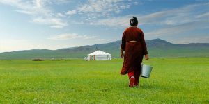 Read more about the article 6 of the best things to do in Mongolia: festivals, history and adventure