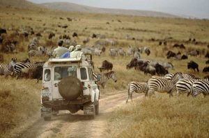 Read more about the article The best ways to get around in Tanzania